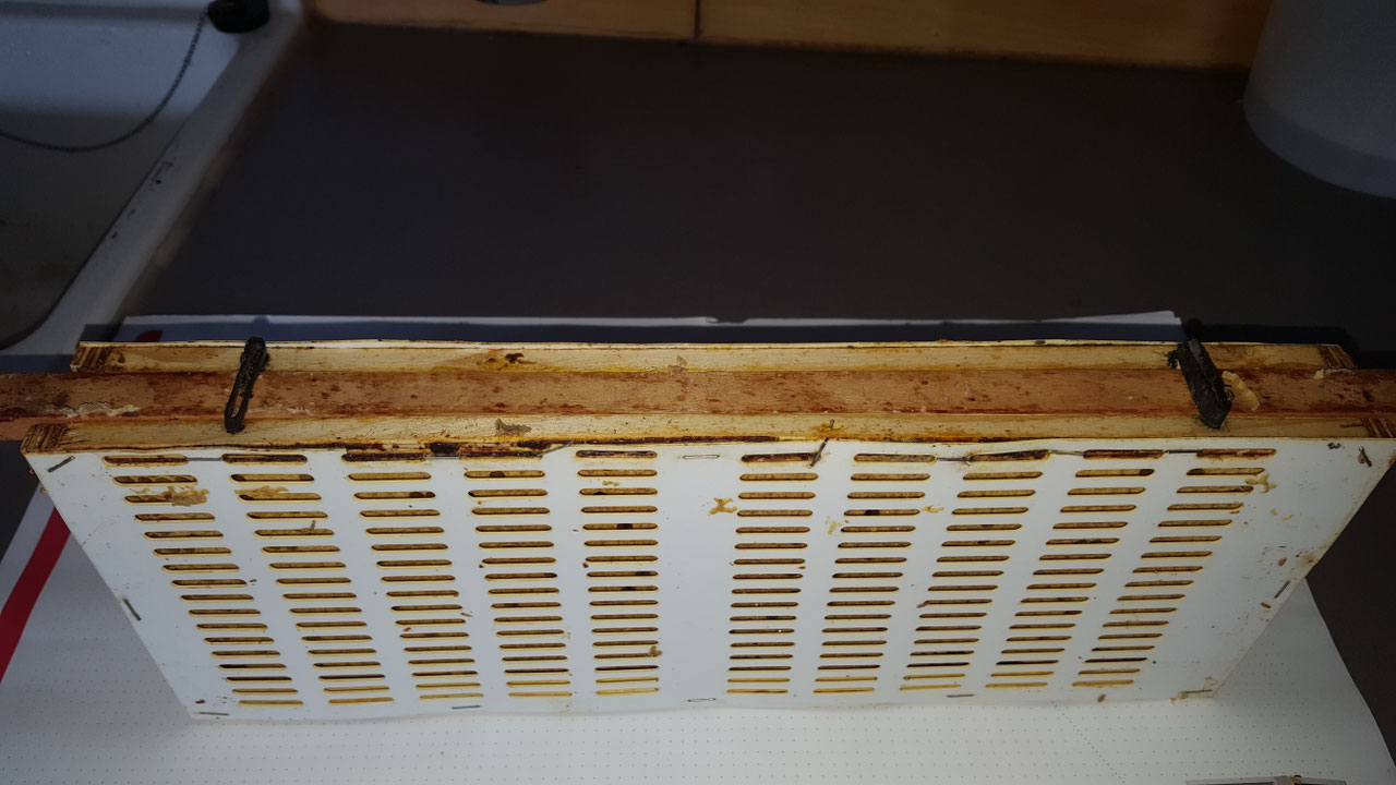 Impression aus dem Vereinsleben