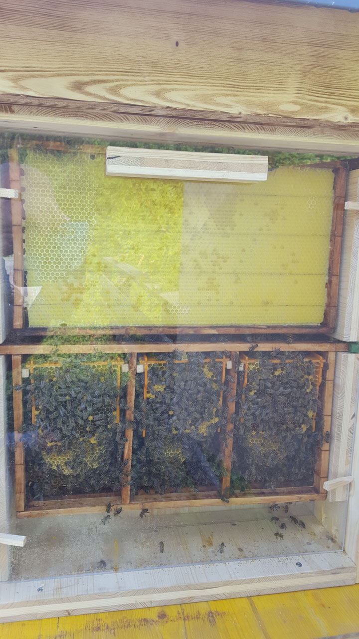 Impression aus dem Vereinsleben