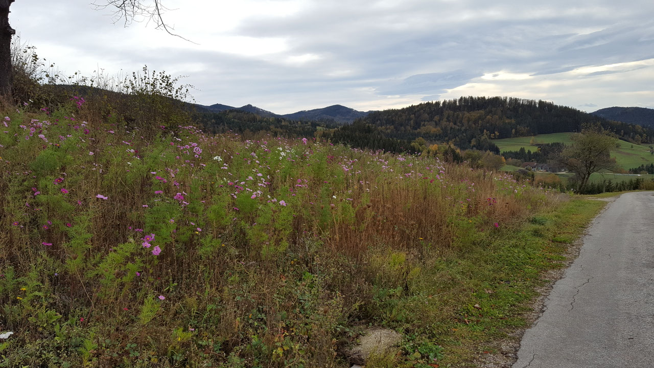 Impression aus dem Vereinsleben