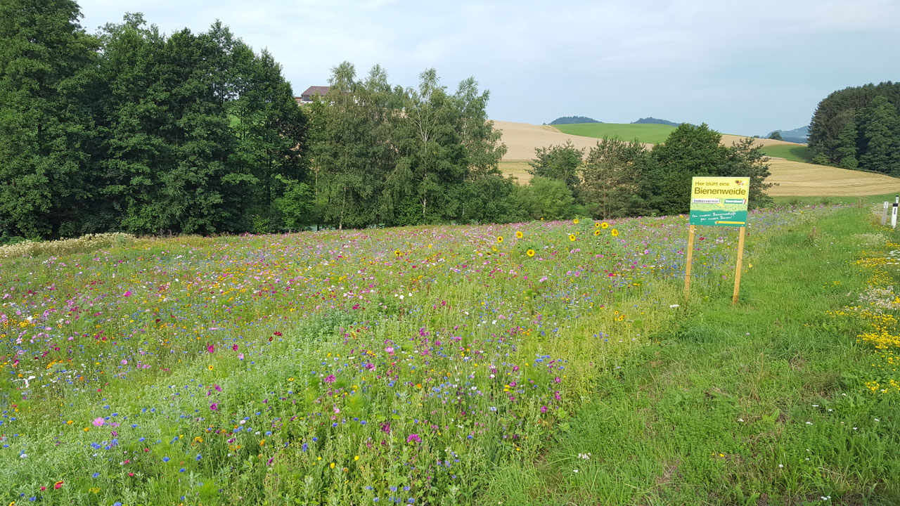 Impression aus dem Vereinsleben