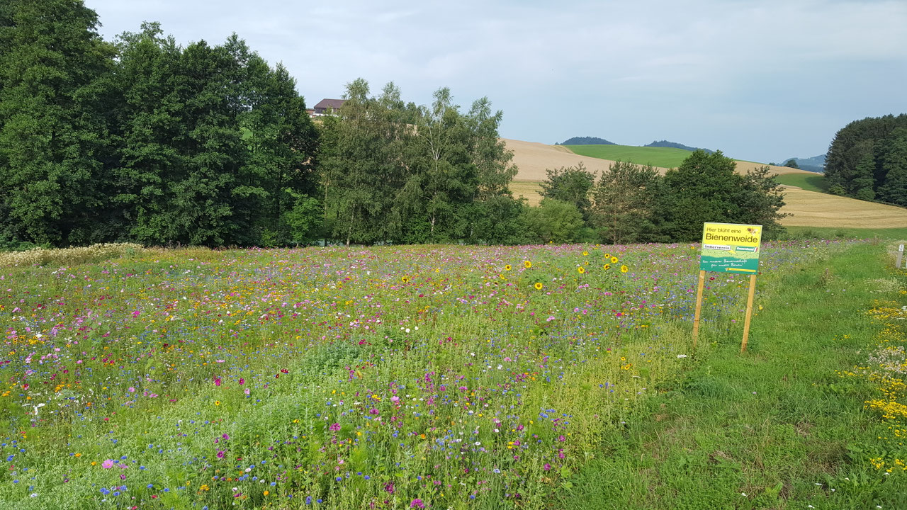 Impression aus dem Vereinsleben