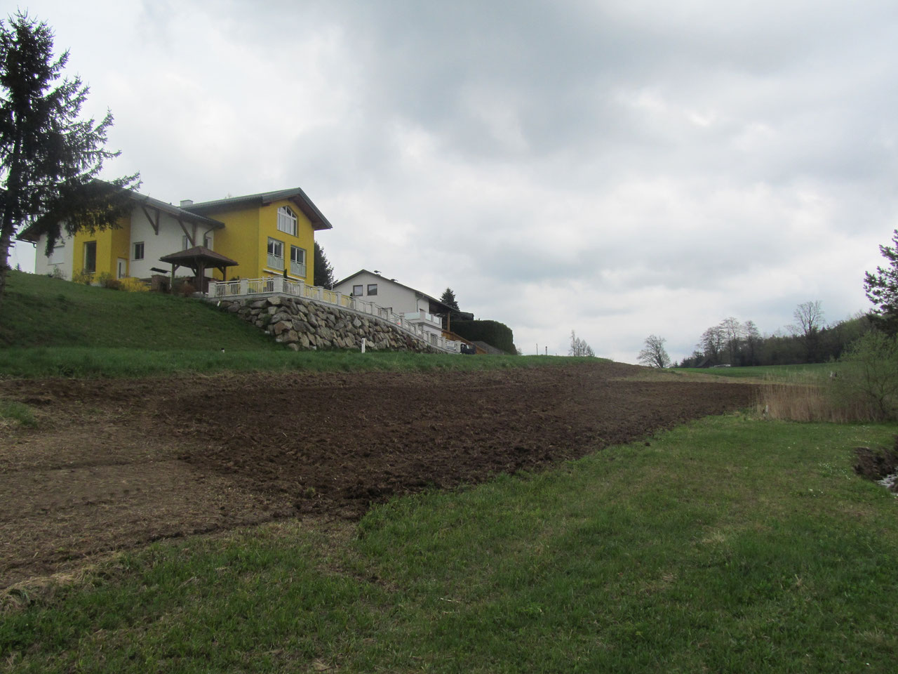 Blumenwiese des Imkervereins