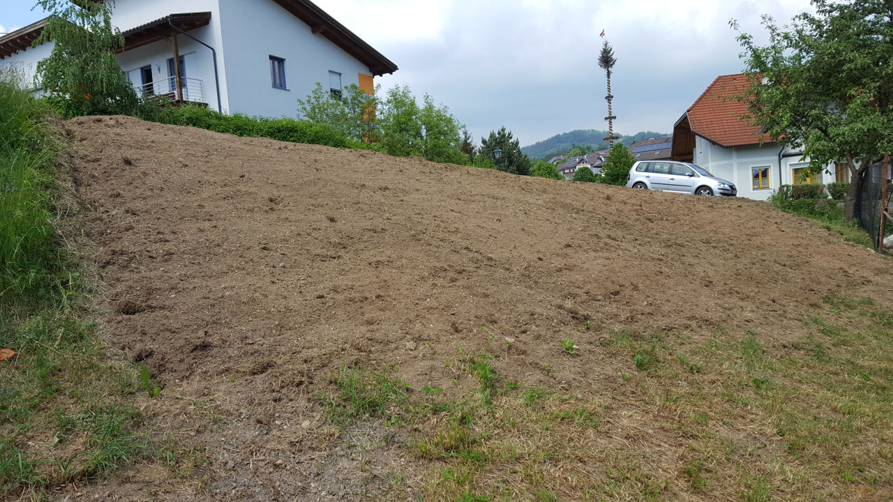 Impression aus dem Vereinsleben