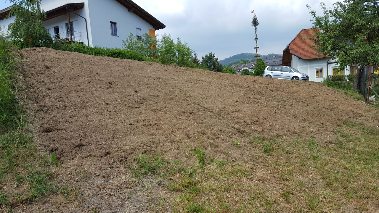 Impression aus dem Vereinsleben