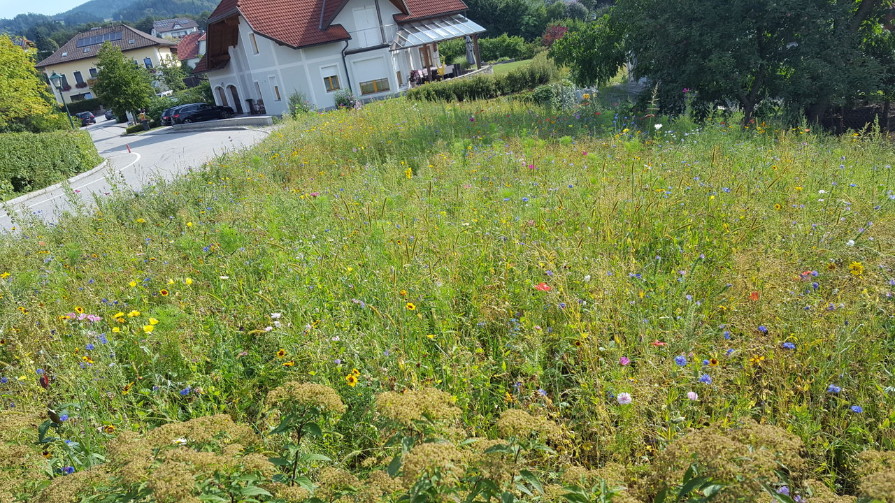 Impression aus dem Vereinsleben