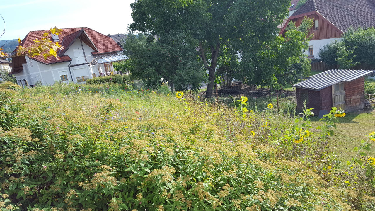 Impression aus dem Vereinsleben