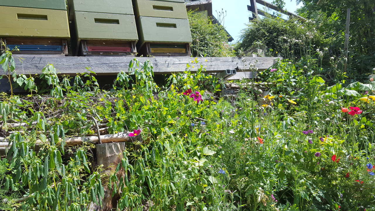 Impression aus dem Vereinsleben